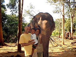 Elefanten Camp auf  Koh Chang